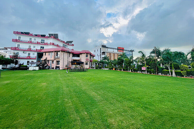 Back Lawn